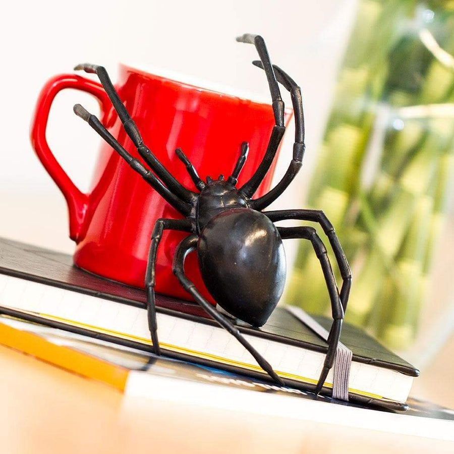 Black Widow Spider - Safari Ltd®