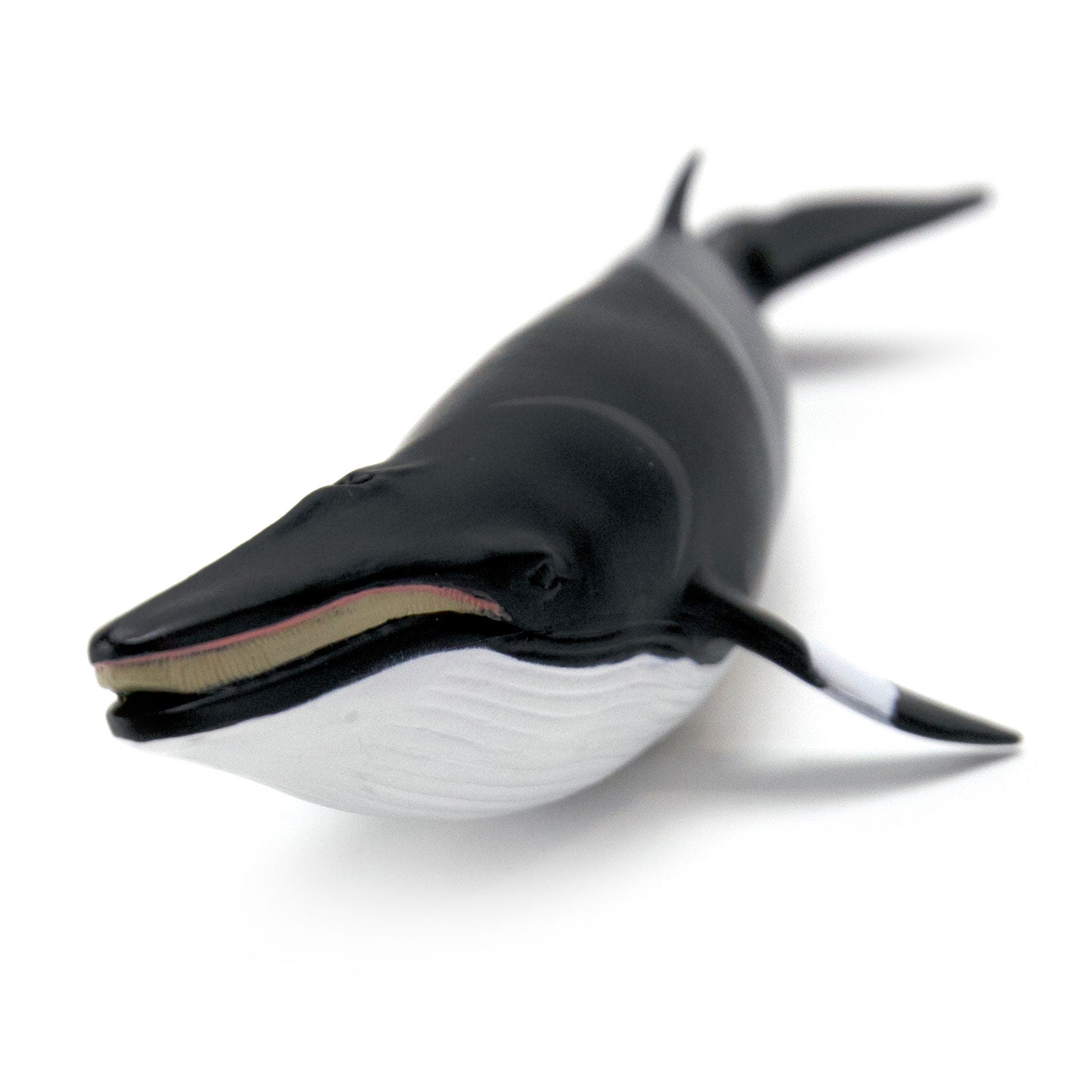 Minke Whale Toy | Safari Ltd®