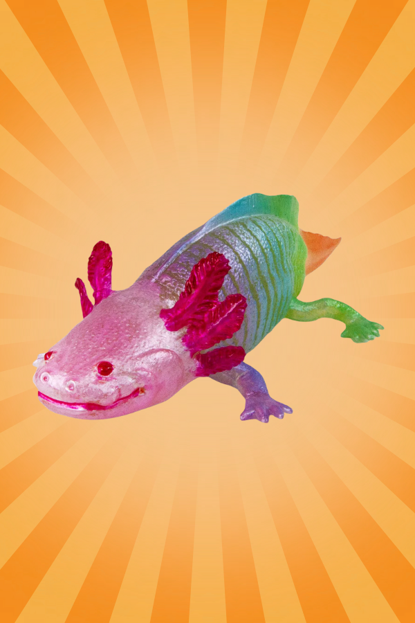 Safari Surprise Box ($50 Value Surprise for Spending $100)