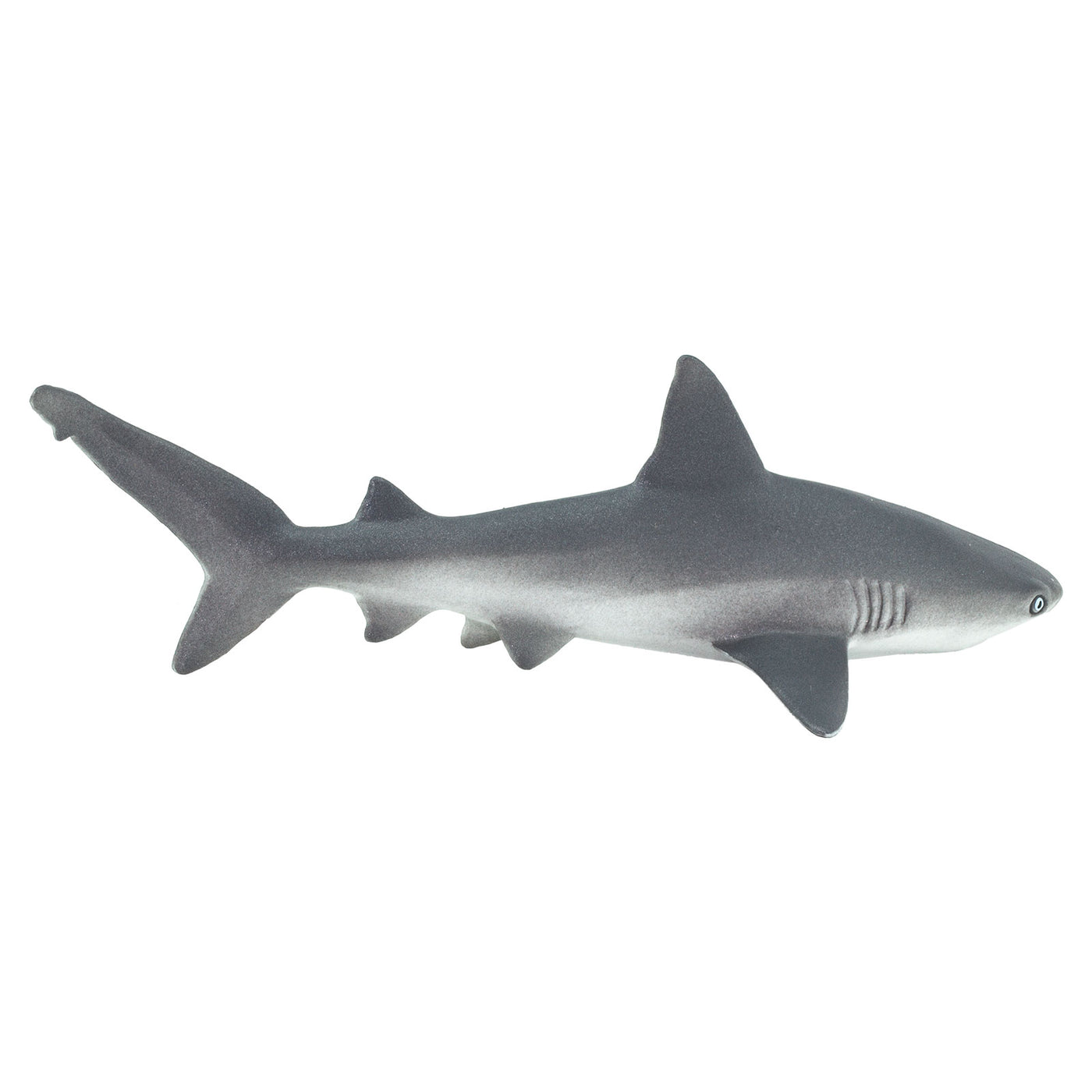 Gray Reef Shark Toy | Sea Life | Safari Ltd®