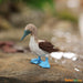 Blue Footed Booby Toy | Wildlife Animal Toys | Safari Ltd®