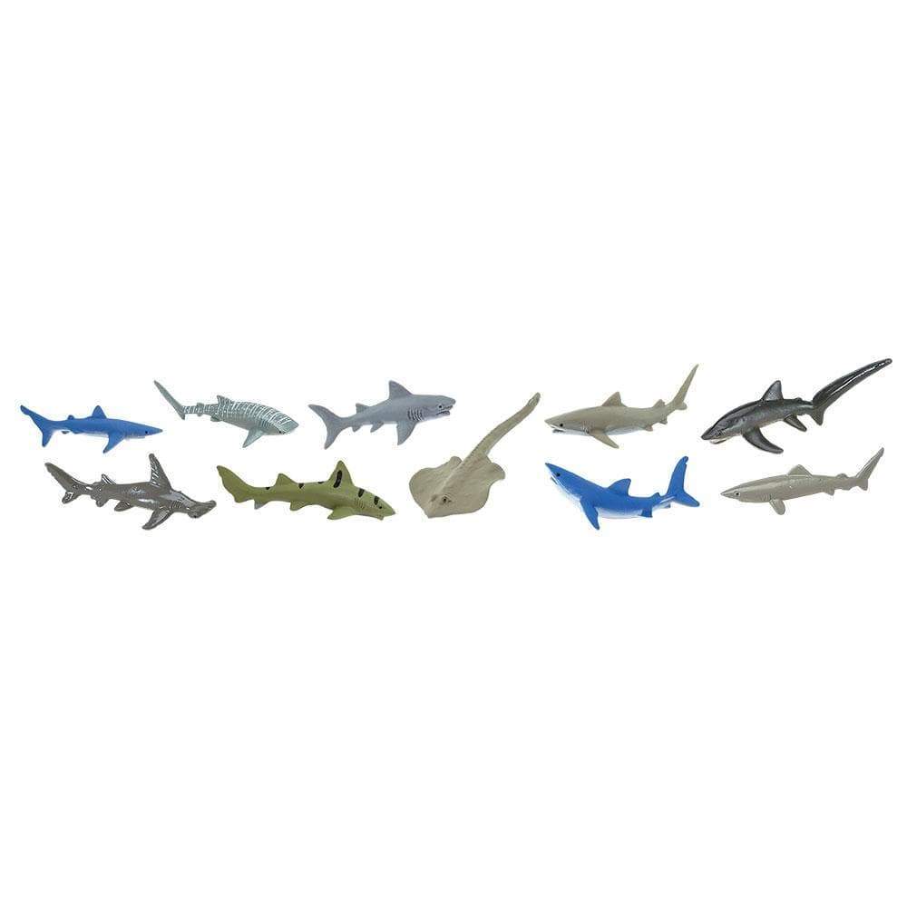 Sharks TOOB® | TOOBS® - Mini Toys | Safari Ltd®