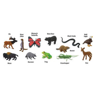 In the Woods TOOB® | TOOBS® - Mini Toys | Safari Ltd®