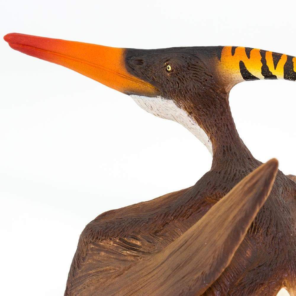Pteranodon | Dinosaur Toys | Safari Ltd®
