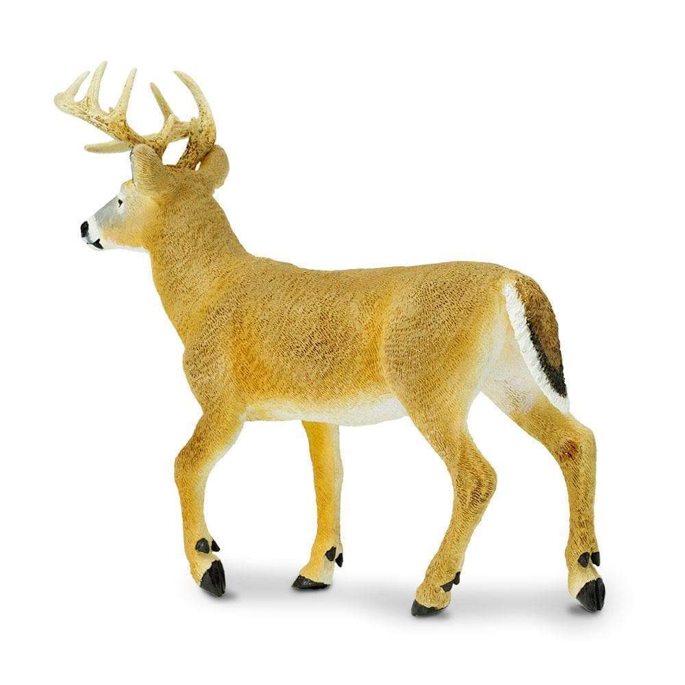 Whitetail Deer Buck Toy | Safari Ltd®