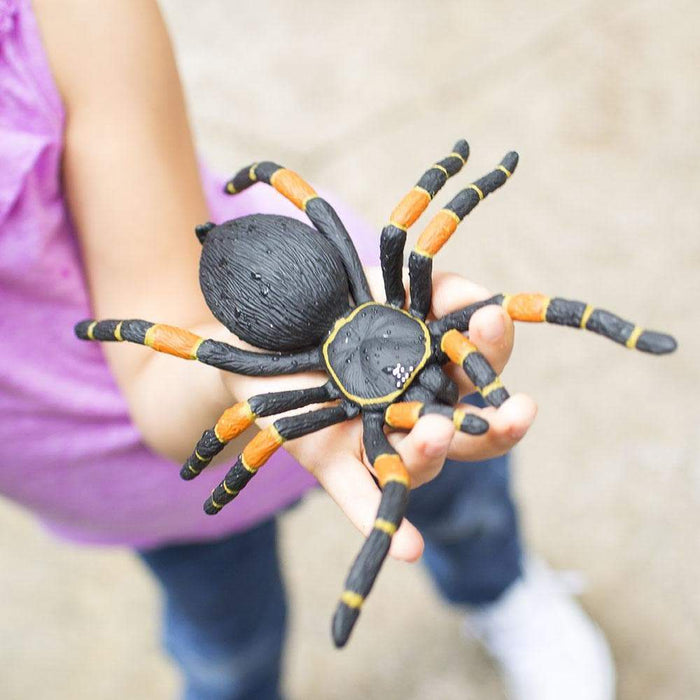 Orange-kneed Tarantula Toy | Incredible Creatures | Safari Ltd®