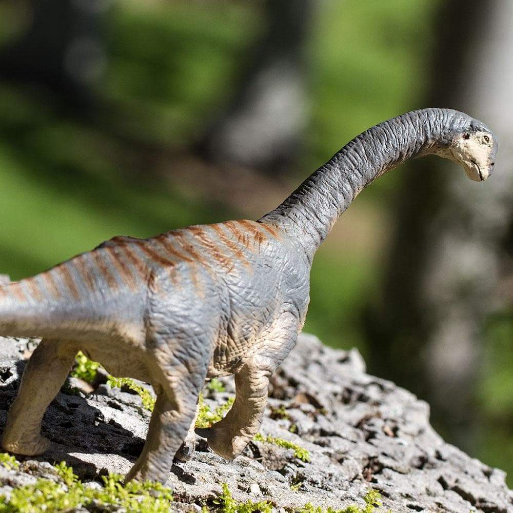 Camarasaurus Toy | Dinosaur Toys | Safari Ltd®