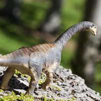Camarasaurus Toy | Dinosaur Toys | Safari Ltd®