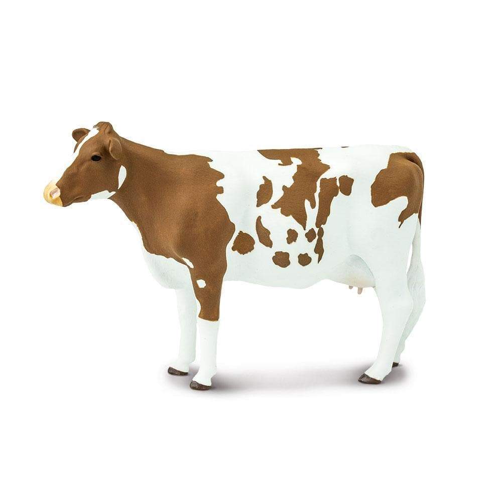 Ayrshire Cow Toy | Farm | Safari Ltd®