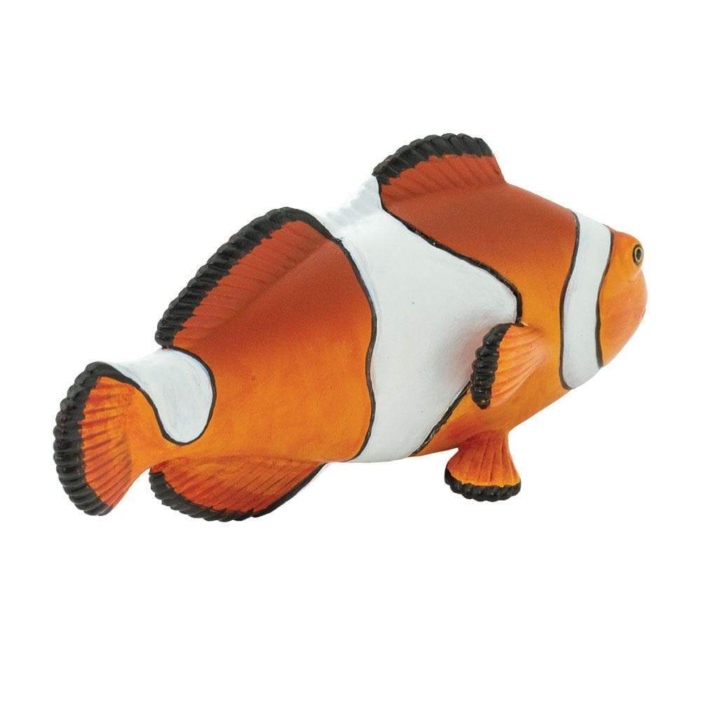 Clown Anemonefish Toy | Safari Ltd®