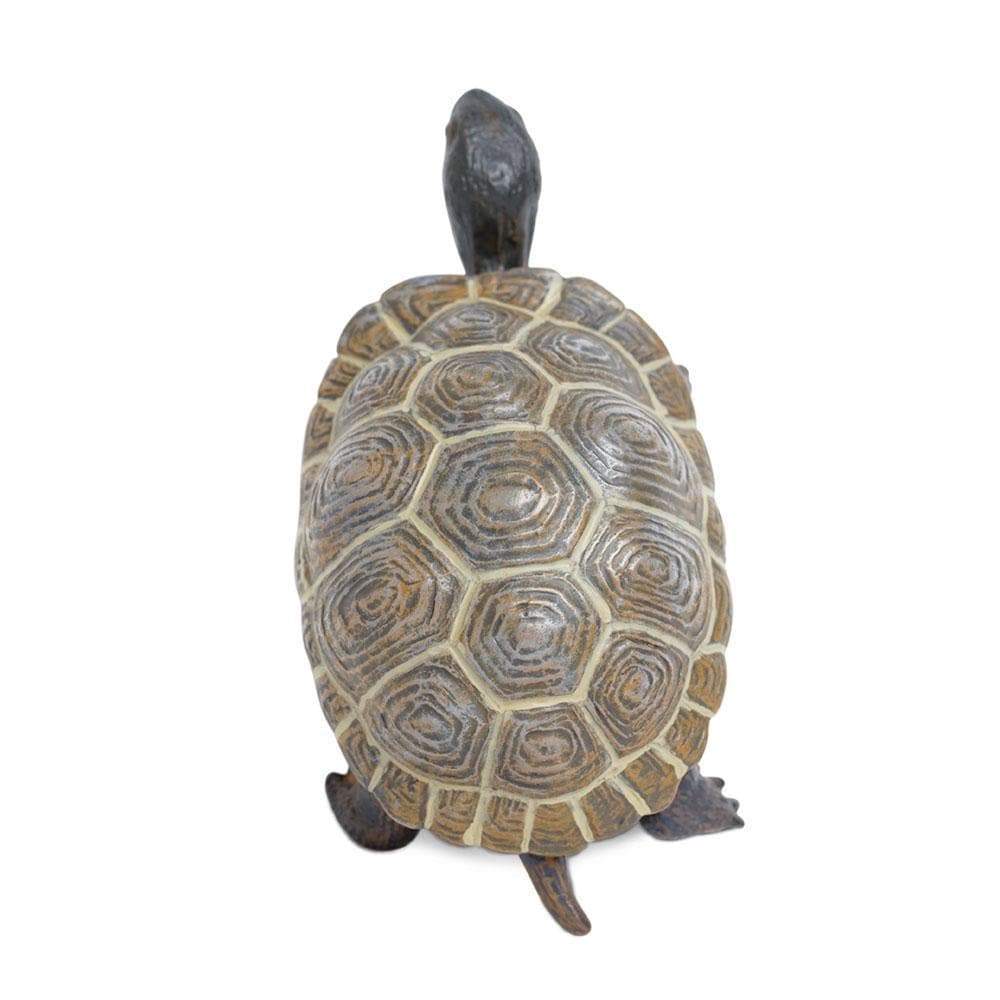 Tortoise Baby | Incredible Creatures | Safari Ltd®