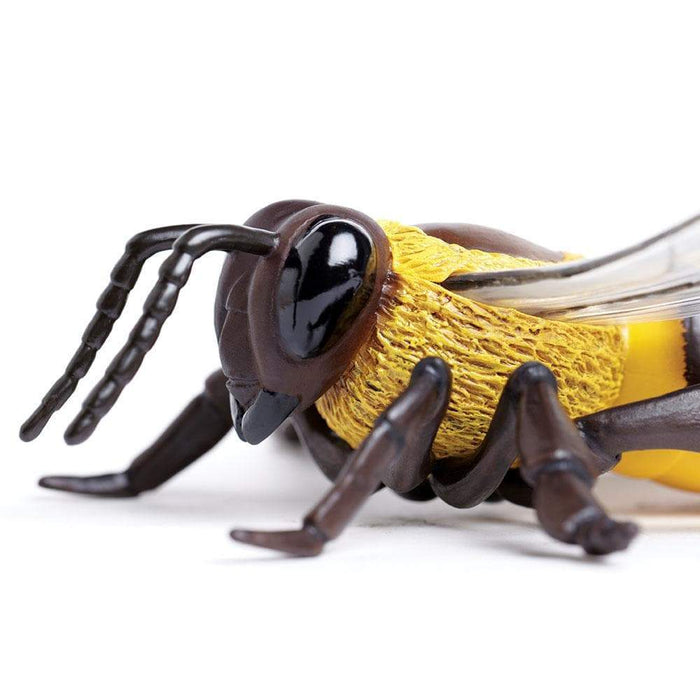 Honey Bee Toy | Incredible Creatures | Safari Ltd®