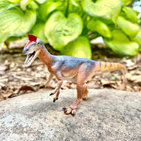 Cryolophosaurus Toy Dinosaur Figure |  | Safari Ltd®