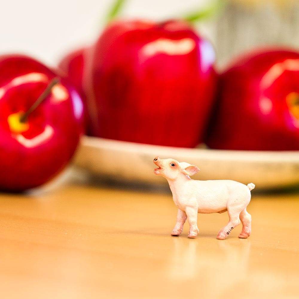 Piglet Toy | Farm | Safari Ltd®