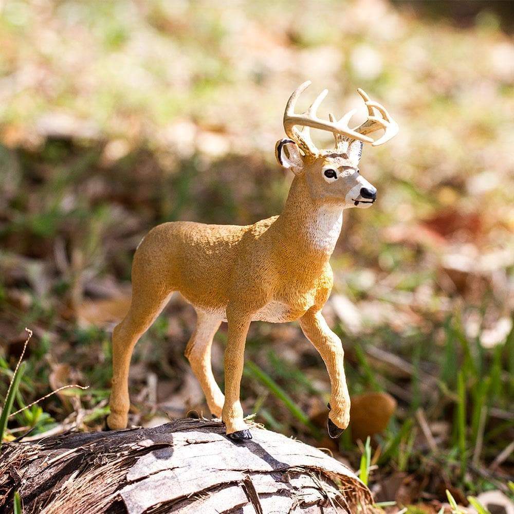 Whitetail Deer Buck Toy | Safari Ltd®