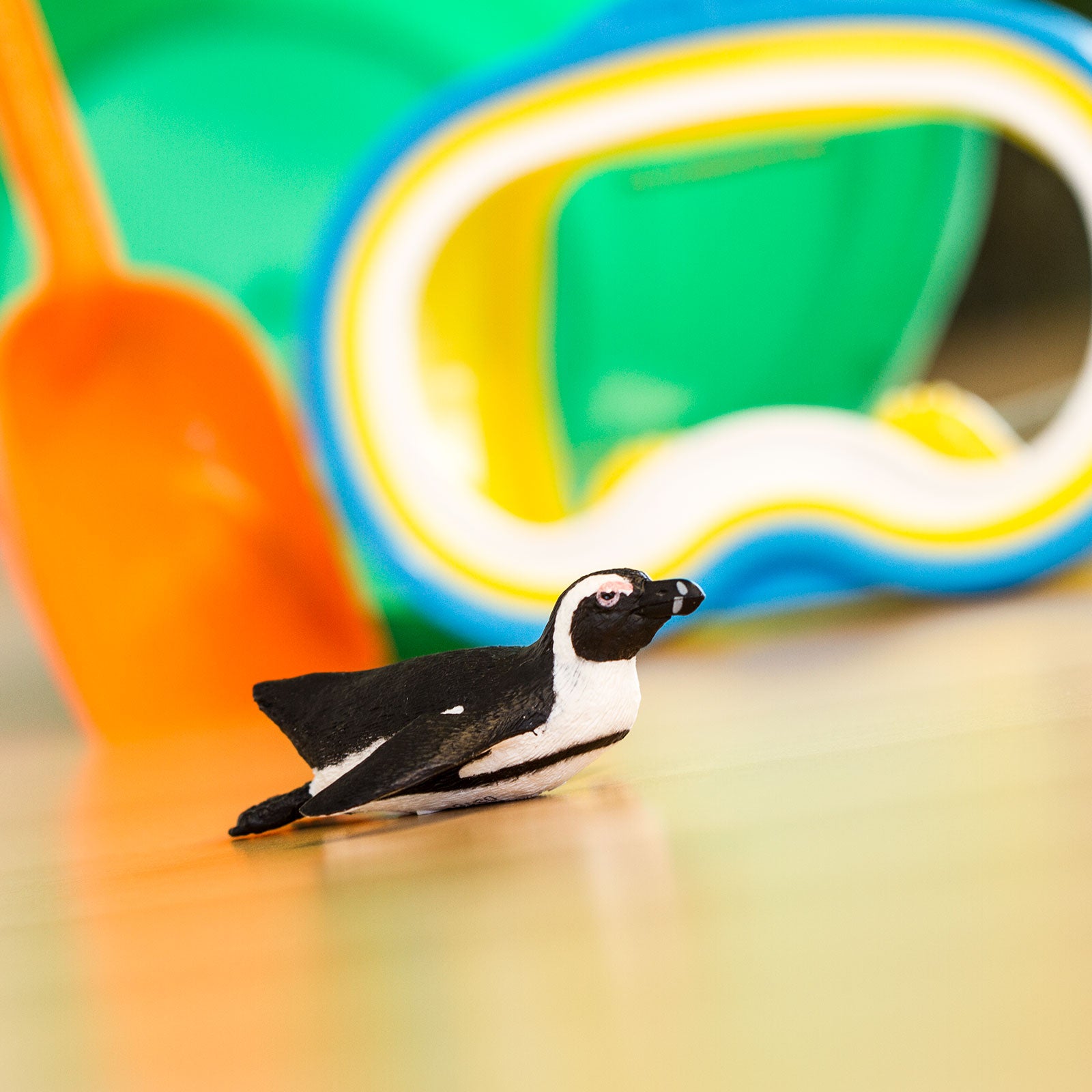 South African Penguin Toy | Safari Ltd®