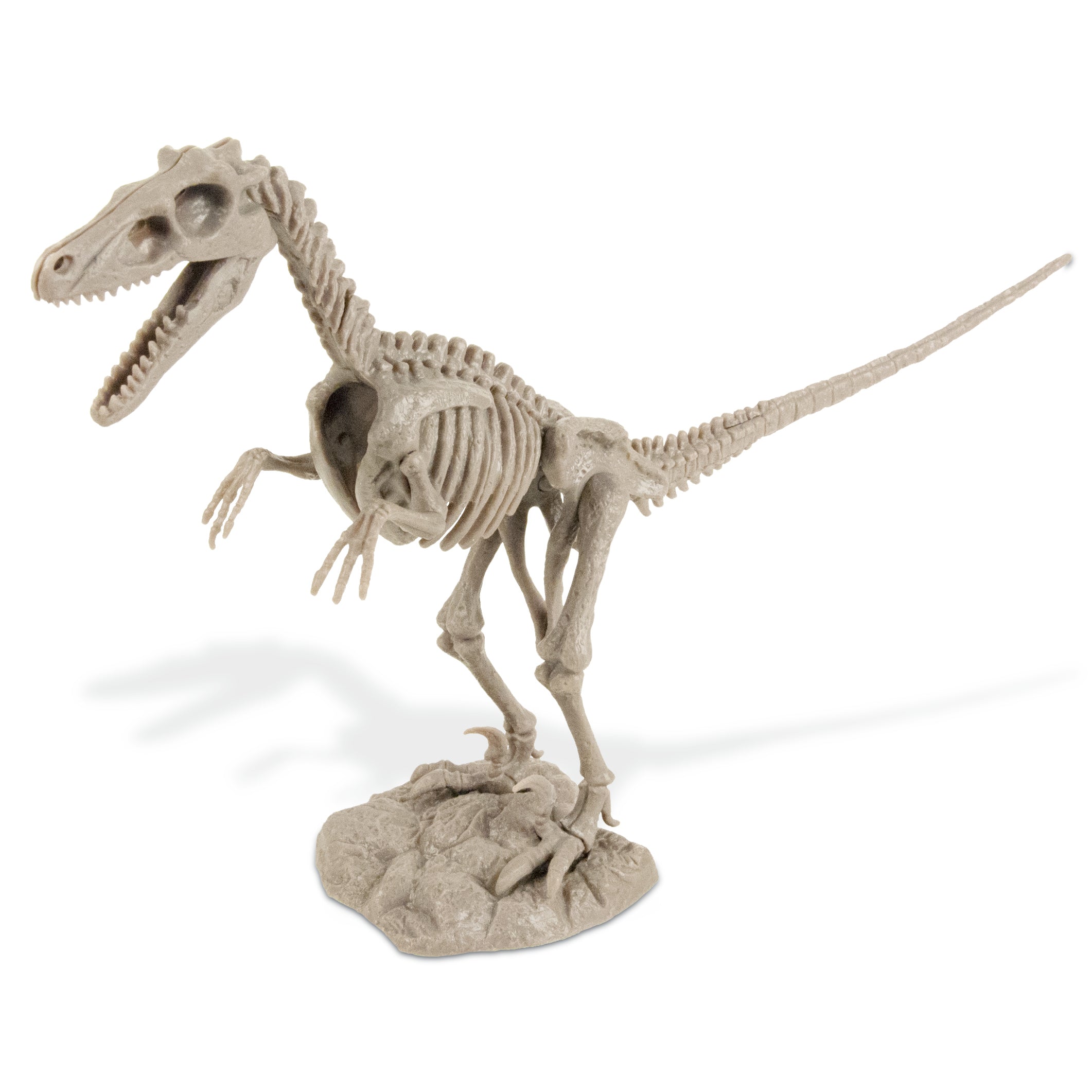 Uncle Milton Dino Dig Velociraptor Ausgrabungsset – Archäologie-Spielzeug Für Junge Forscher Ab 3 Jahren