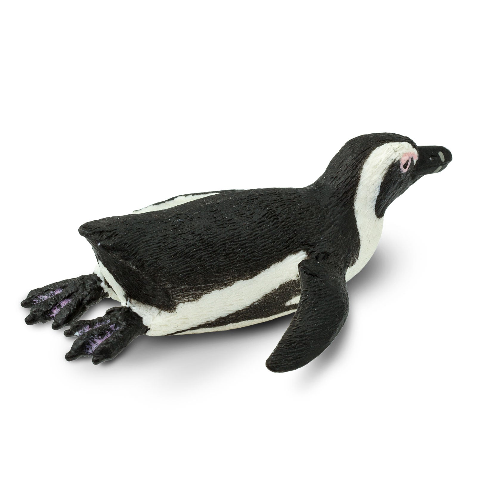 South African Penguin Toy | Sea Life | Safari Ltd®