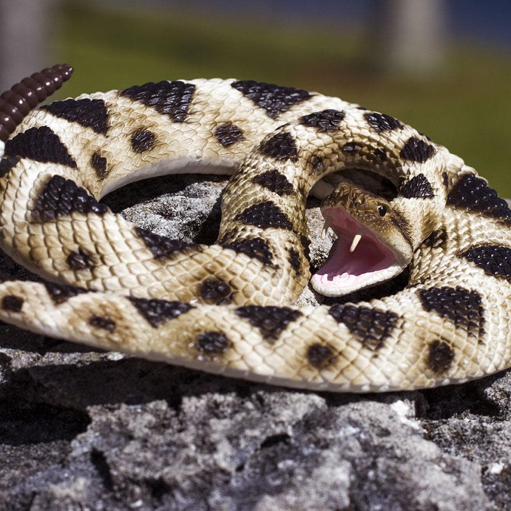 Eastern Diamondback Rattlesnake Toy – Realistic Snake Figurine