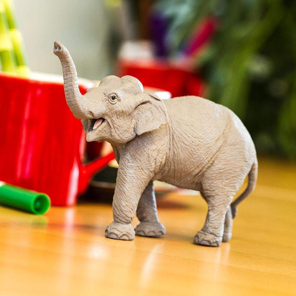 Asian Elephant Toy Figure – Realistic Wildlife Model | Safari Ltd