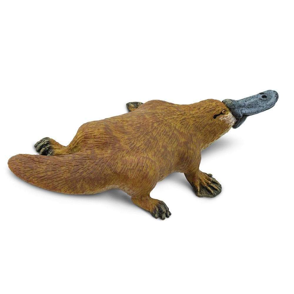 Platypus Toy | Wildlife Animal Toys | Safari Ltd®