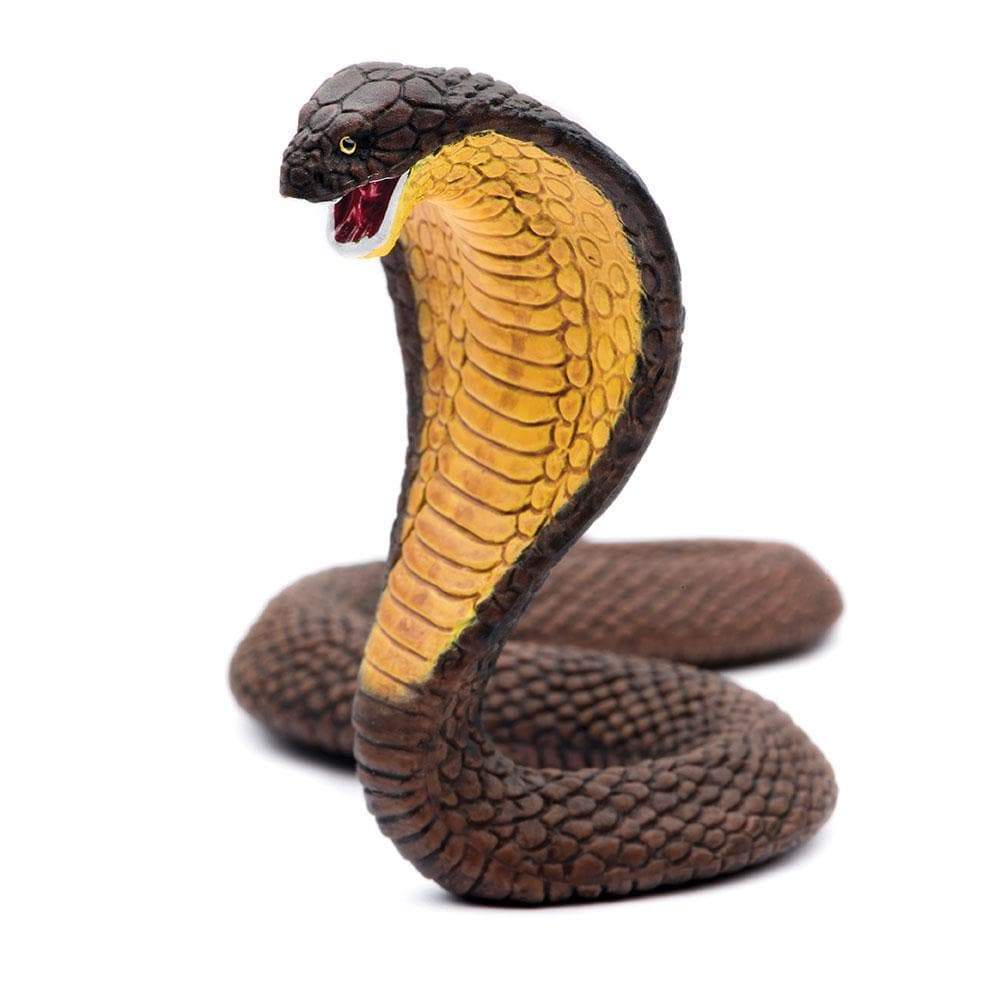 Cobra Toy | Wildlife Animal Toys | Safari Ltd®