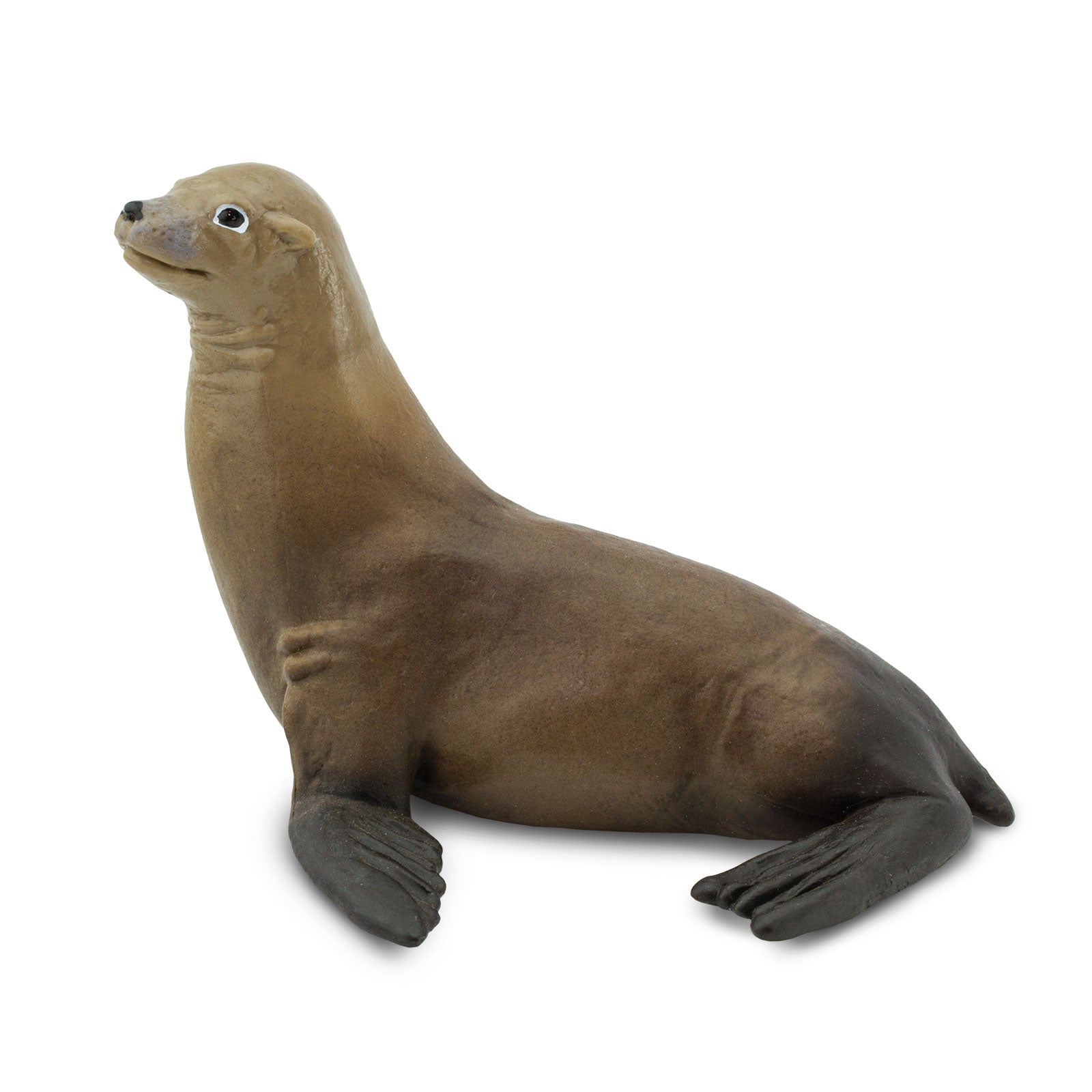 Sea Lion Toy | Safari Ltd®