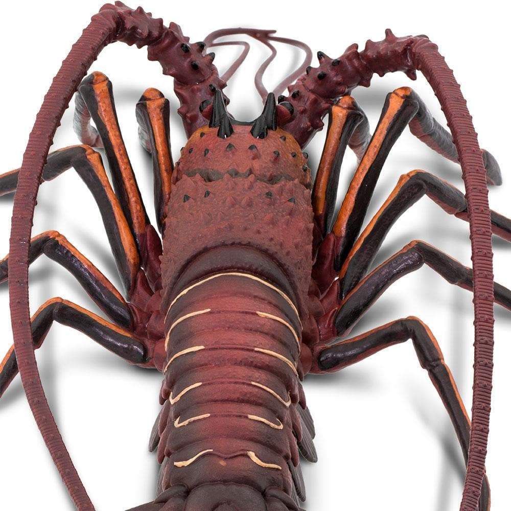 Spiny Lobster Toy | Incredible Creatures | Safari Ltd®