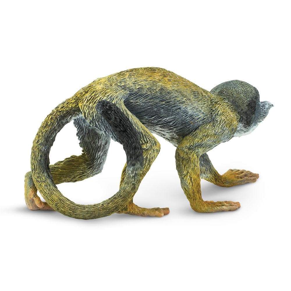 Squirrel Monkey Toy | Incredible Creatures | Safari Ltd®