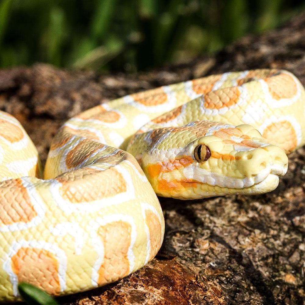 Albino Burmese Python Figure – Realistic Snake Toy for Kids, Boys and ...
