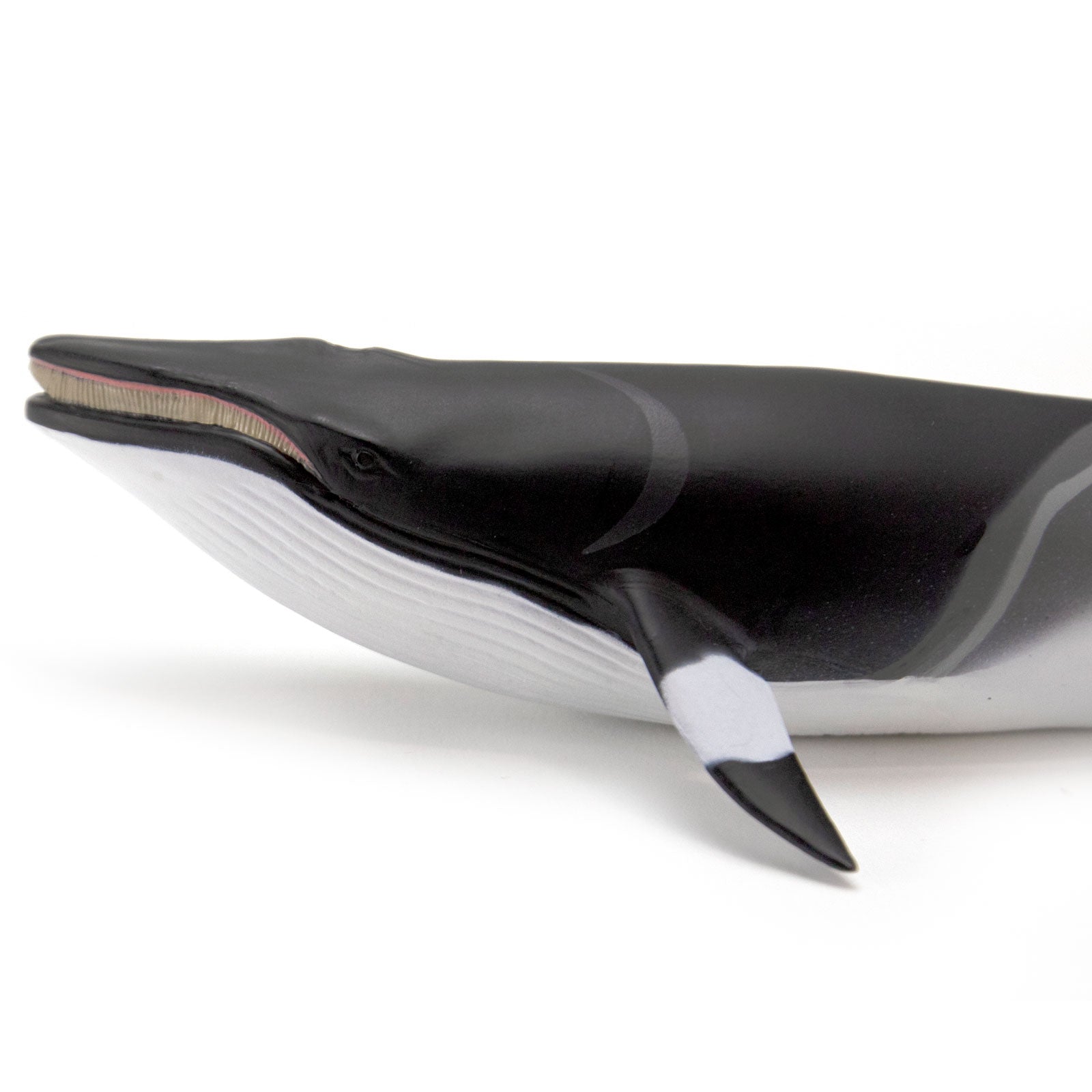 未使用品レコードLP 再販黒盤　comings　WHALE LIVING 2026年最新】homecomings whale livingの人気アイテム - メルカリ