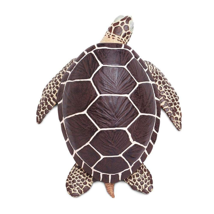 Sea Turtle Toy | Incredible Creatures | Safari Ltd®