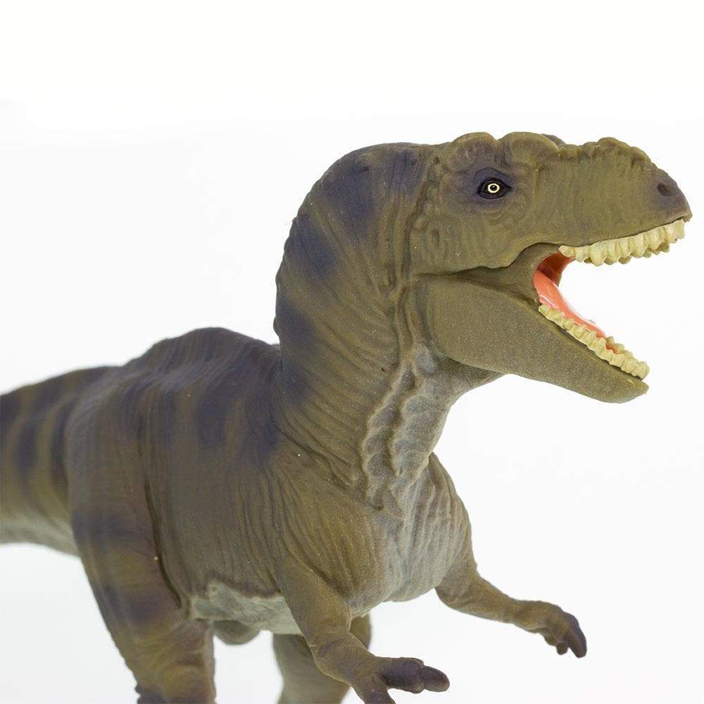 Tyrannosaurus Rex Toy | Dinosaur Toys | Safari Ltd®