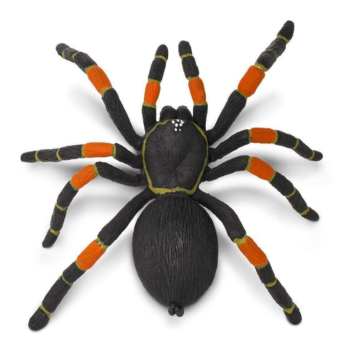Orange-kneed Tarantula Toy | Incredible Creatures | Safari Ltd®