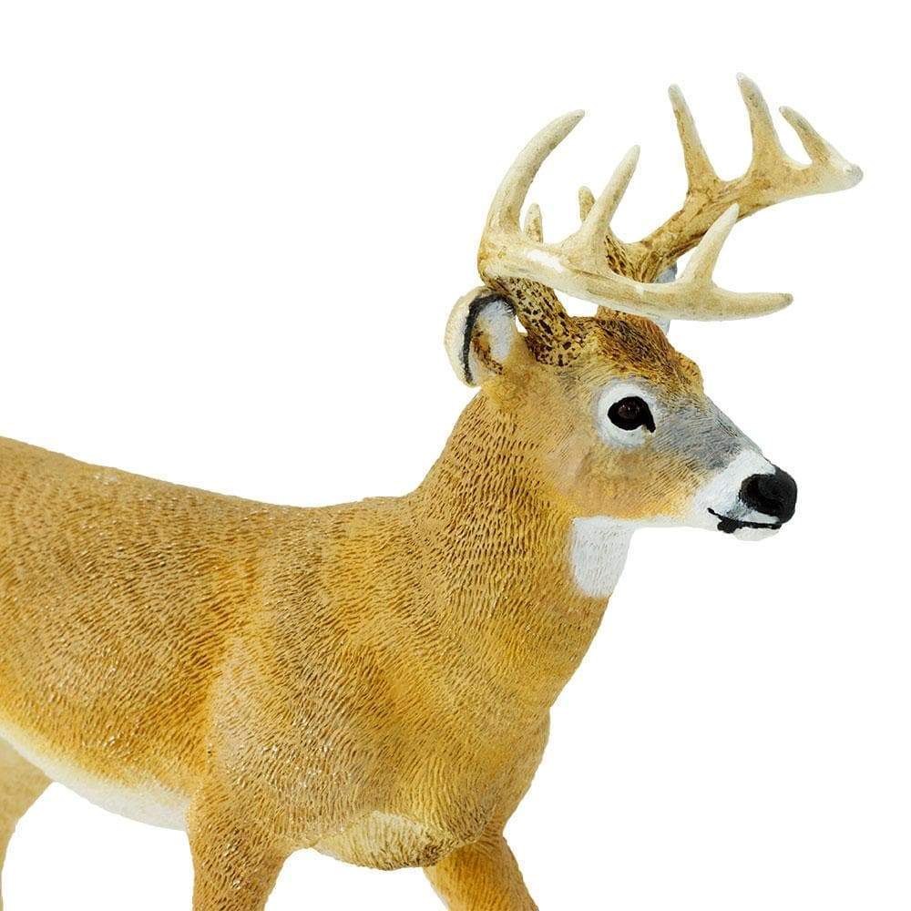 Whitetail Deer Buck Toy | Safari Ltd®