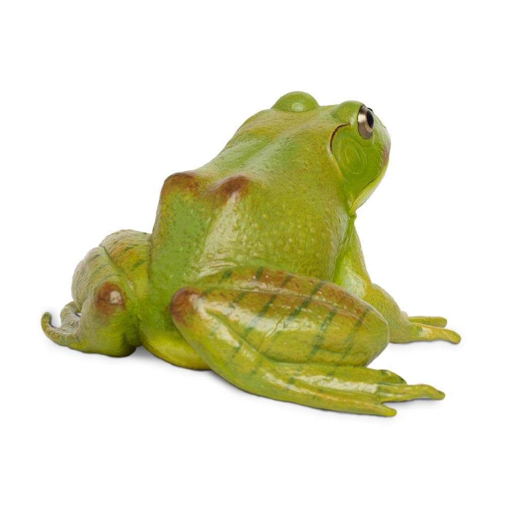 American Bullfrog Amphibian Toy | Safari Ltd®