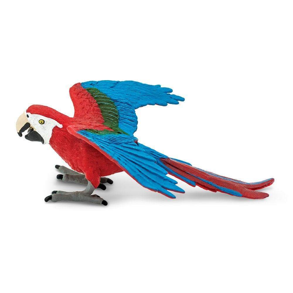 wing parrot LIFEWAVE X49 Amazon.com: LifeWave X49 Patches