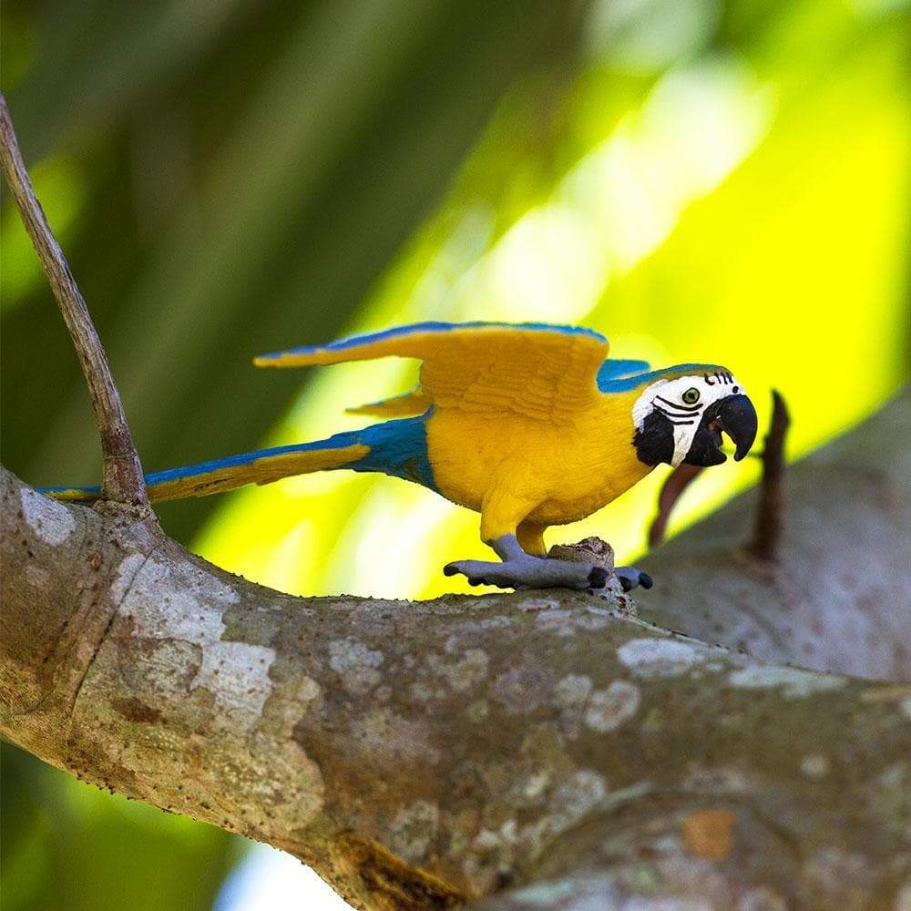 Blue & Gold Macaw Toy | Wildlife Animal Toys | Safari Ltd®