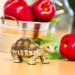 Tortoise - Safari Ltd®