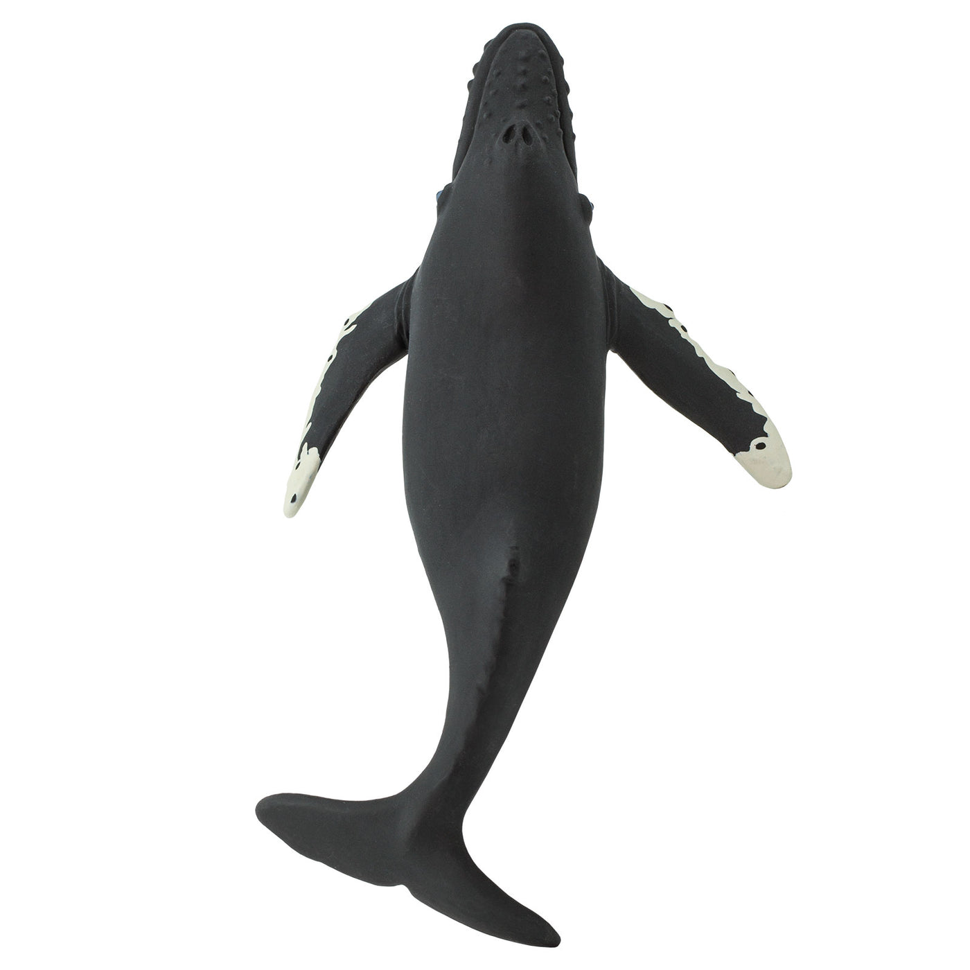 Humpback Whale Toy | Sea Life | Safari Ltd®