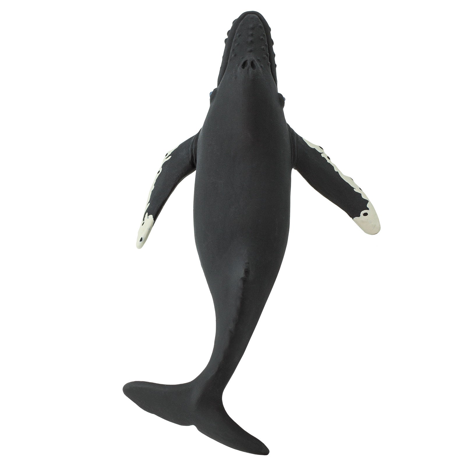 Humpback Whale Toy | Sea Life | Safari Ltd®