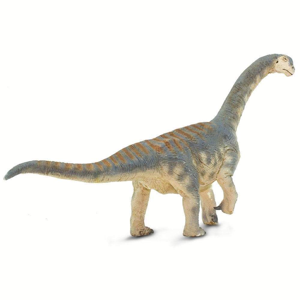 Camarasaurus Toy | Dinosaur Toys | Safari Ltd®