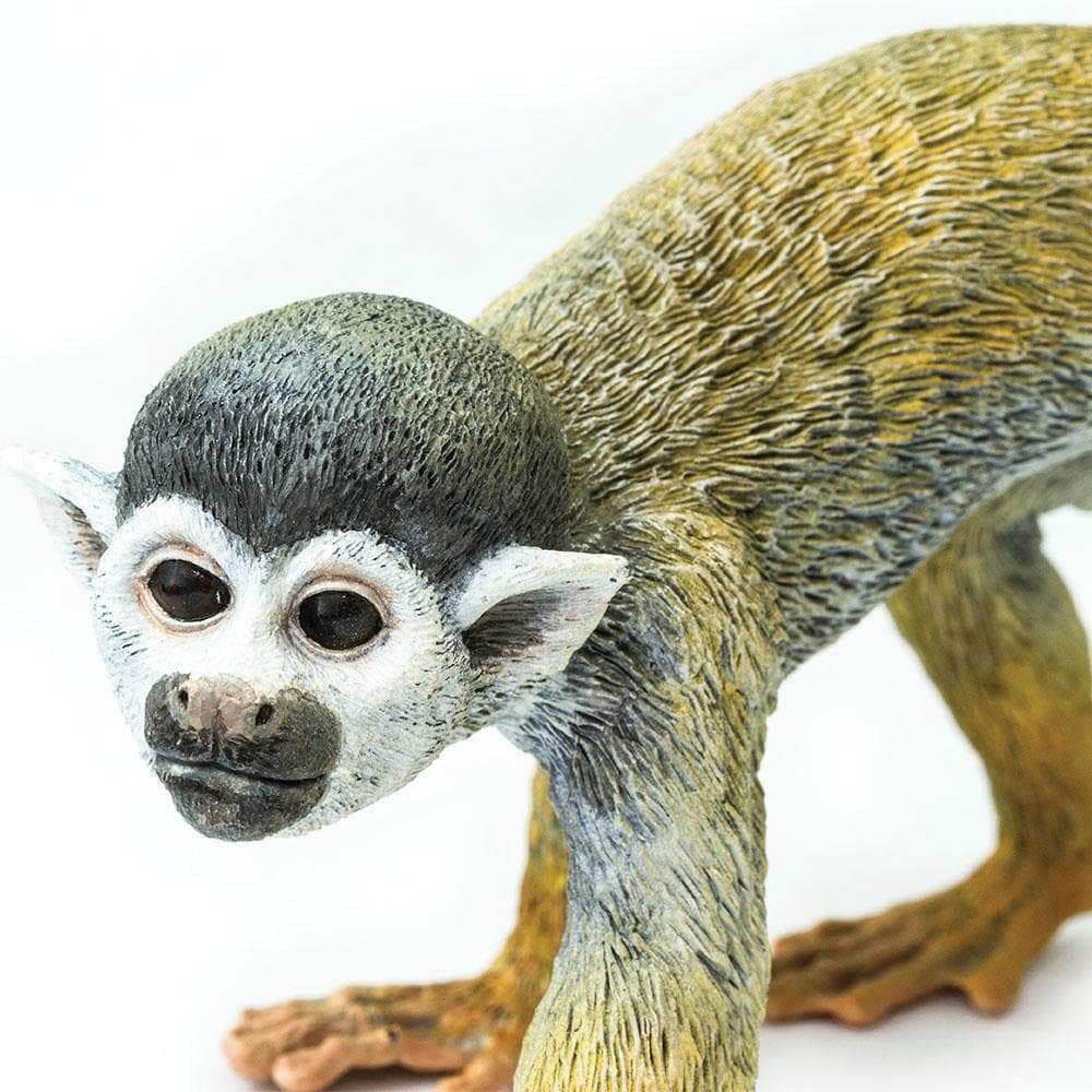 Squirrel Monkey Toy | Incredible Creatures | Safari Ltd®
