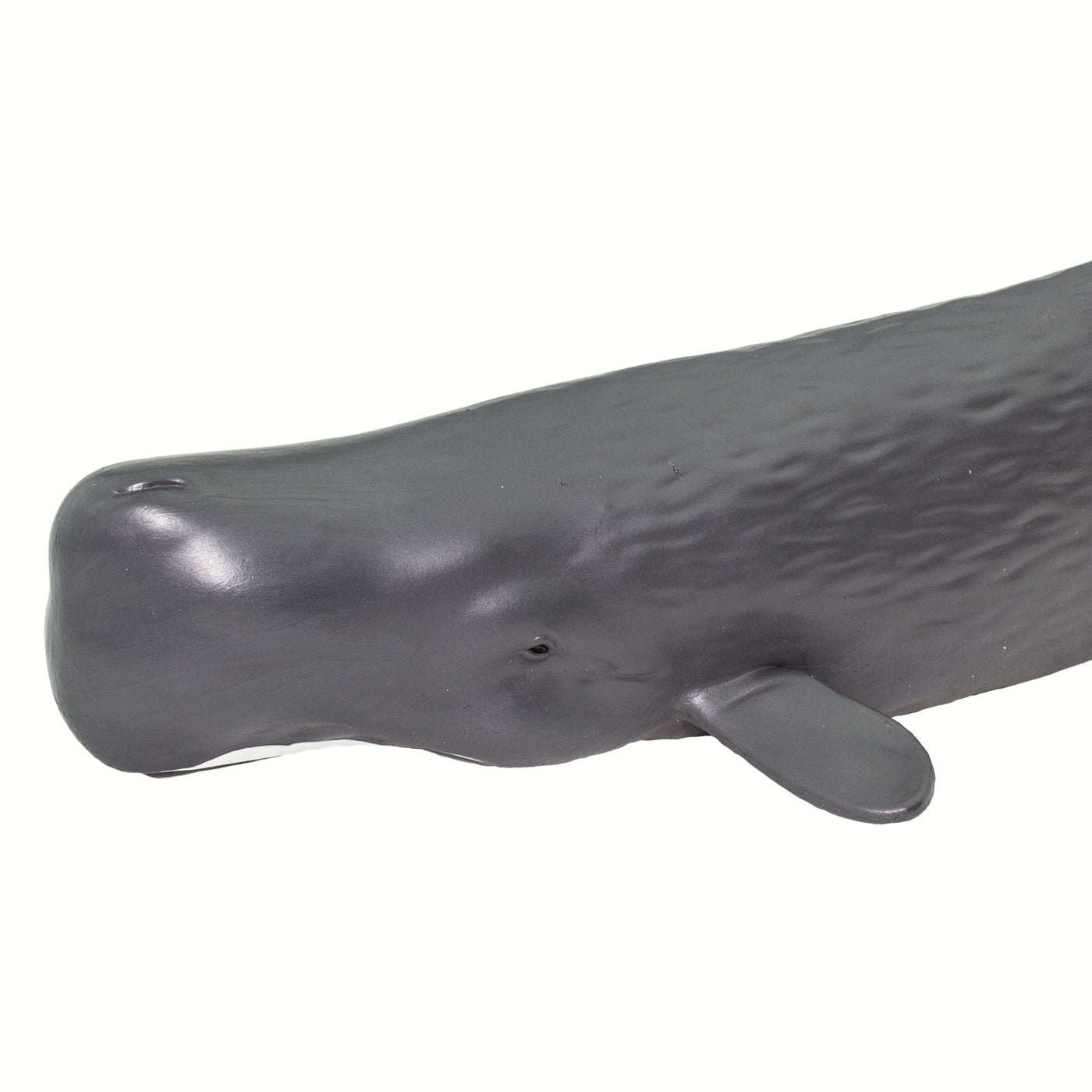 Sperm Whale Toy | Sea Life | Safari Ltd®
