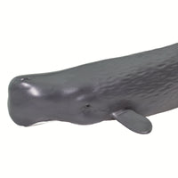 Sperm Whale Toy | Sea Life | Safari Ltd®