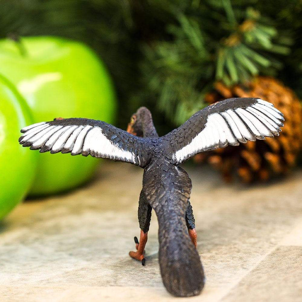 Archaeopteryx Toy Dinosaur Toys Safari Ltd®