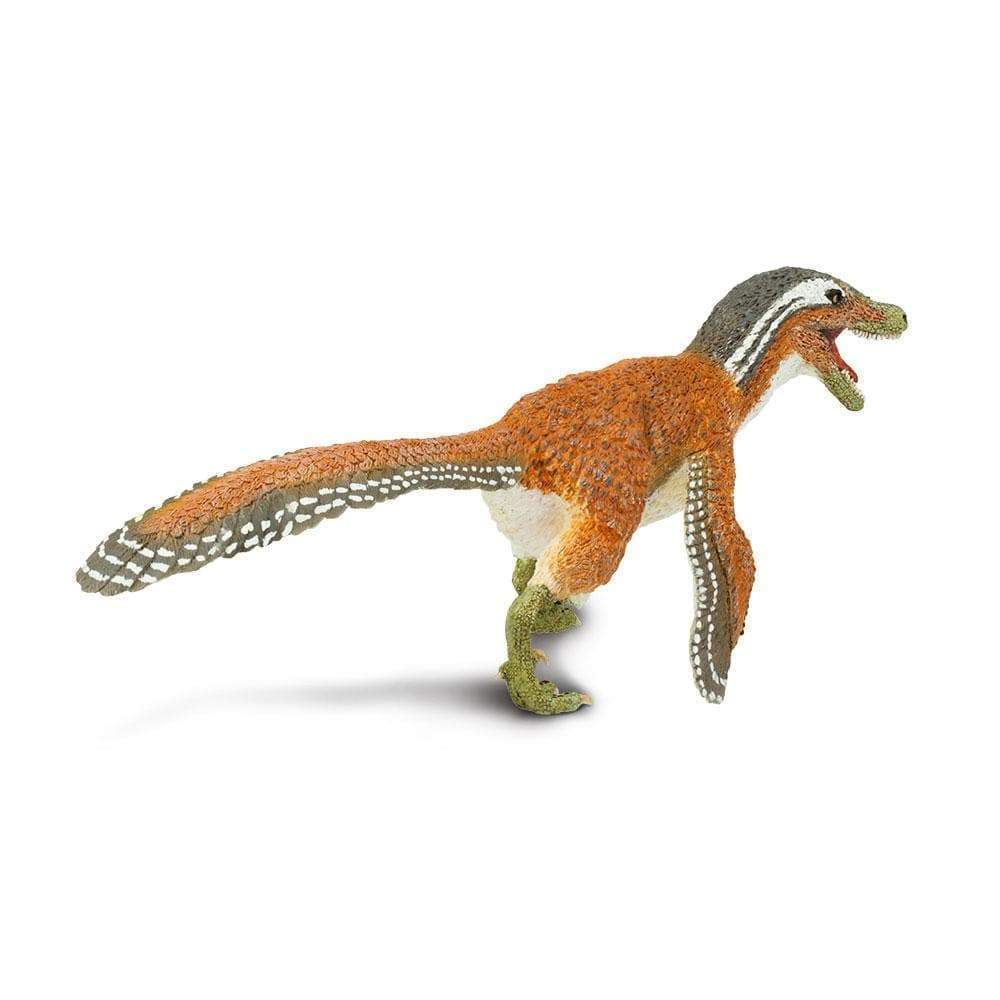 Feathered Velociraptor Toy | Dinosaur Toys | Safari Ltd®