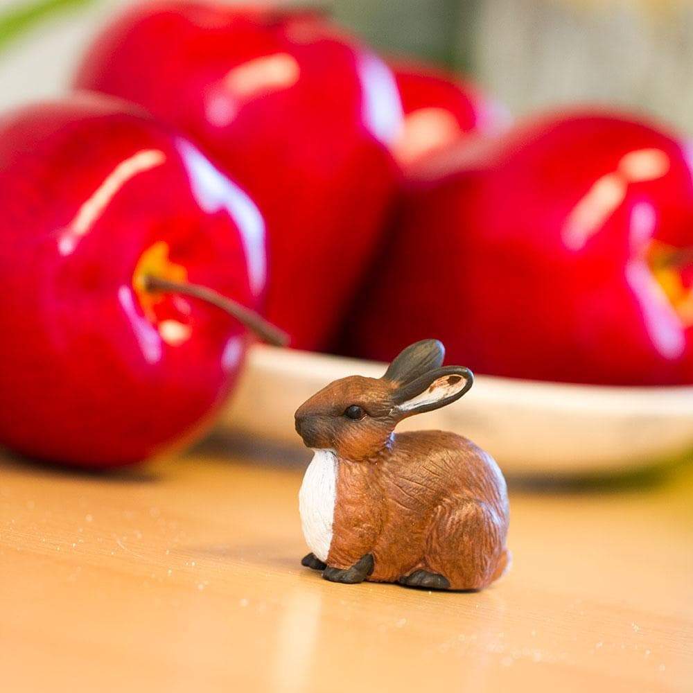 Whole Basket: Every Bunny's Favorite
