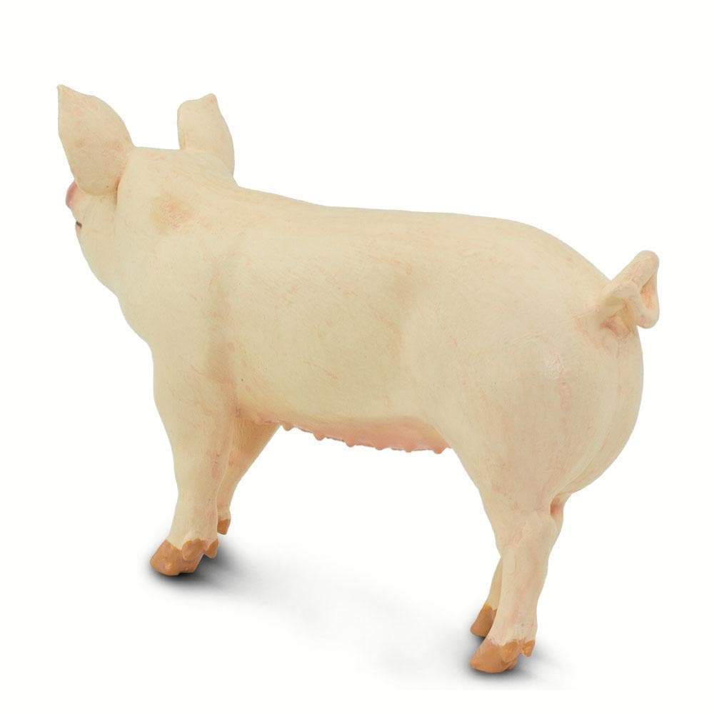 Large White Pig Toy | Incredible Creatures | Safari Ltd®
