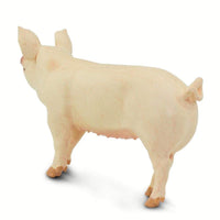 Large White Pig Toy | Incredible Creatures | Safari Ltd®